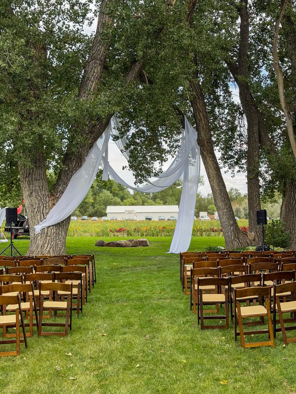 Ceremony aisle with draped trees and wooden chairs at Boulder Flower Farm